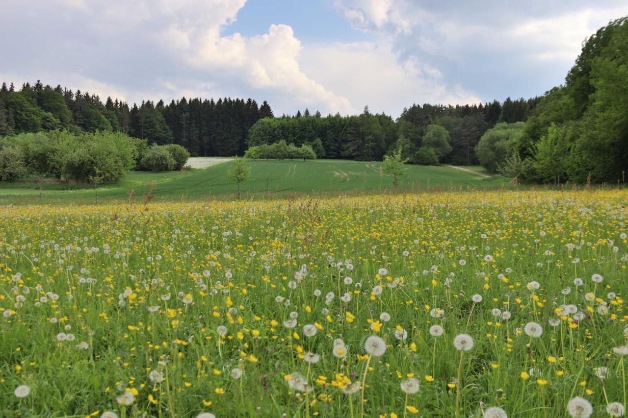 Heumanns Blockhaeuser Am Wald Hotel พอทเทนชไตน์ ภายนอก รูปภาพ